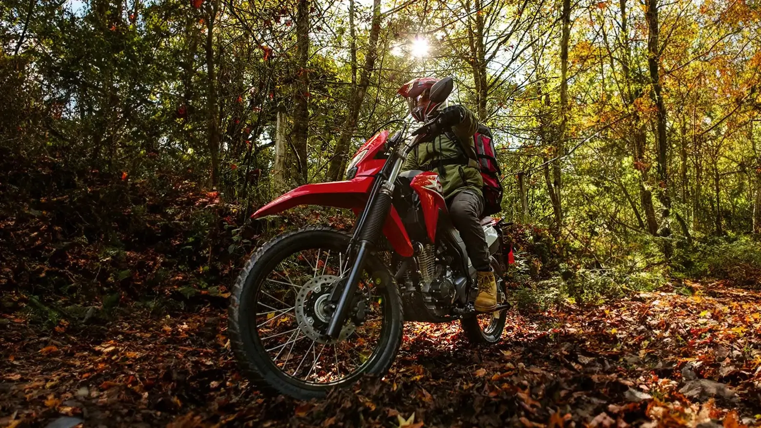 XR 300L Tornado detalhe traseiro